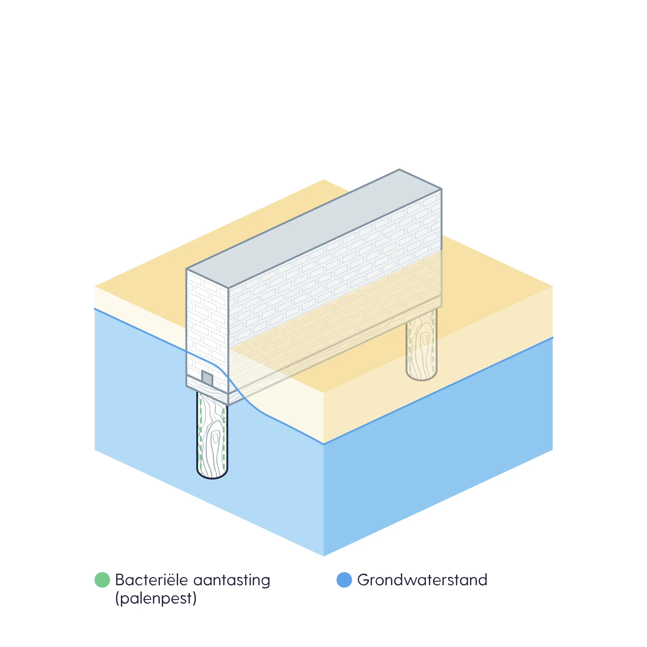 Bacteriële aantasting van een houten paal