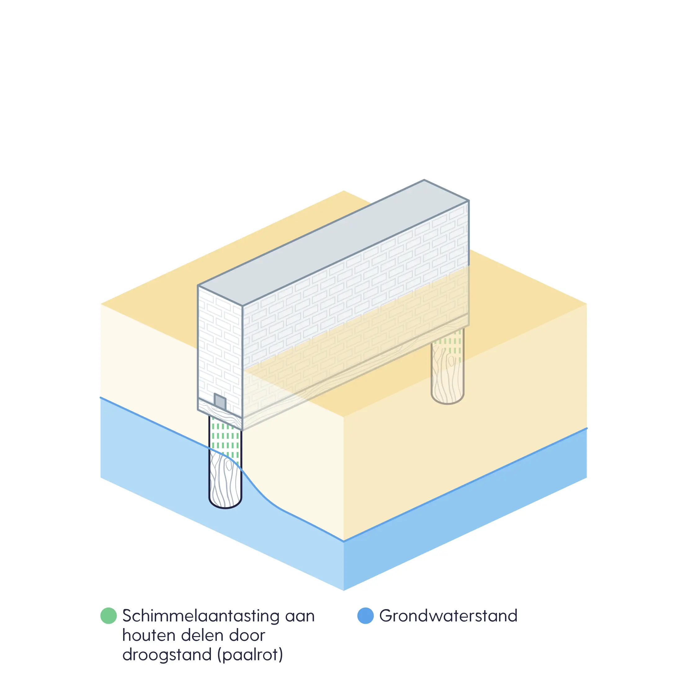 Schimmelaantasting van een houten paal door droogstand